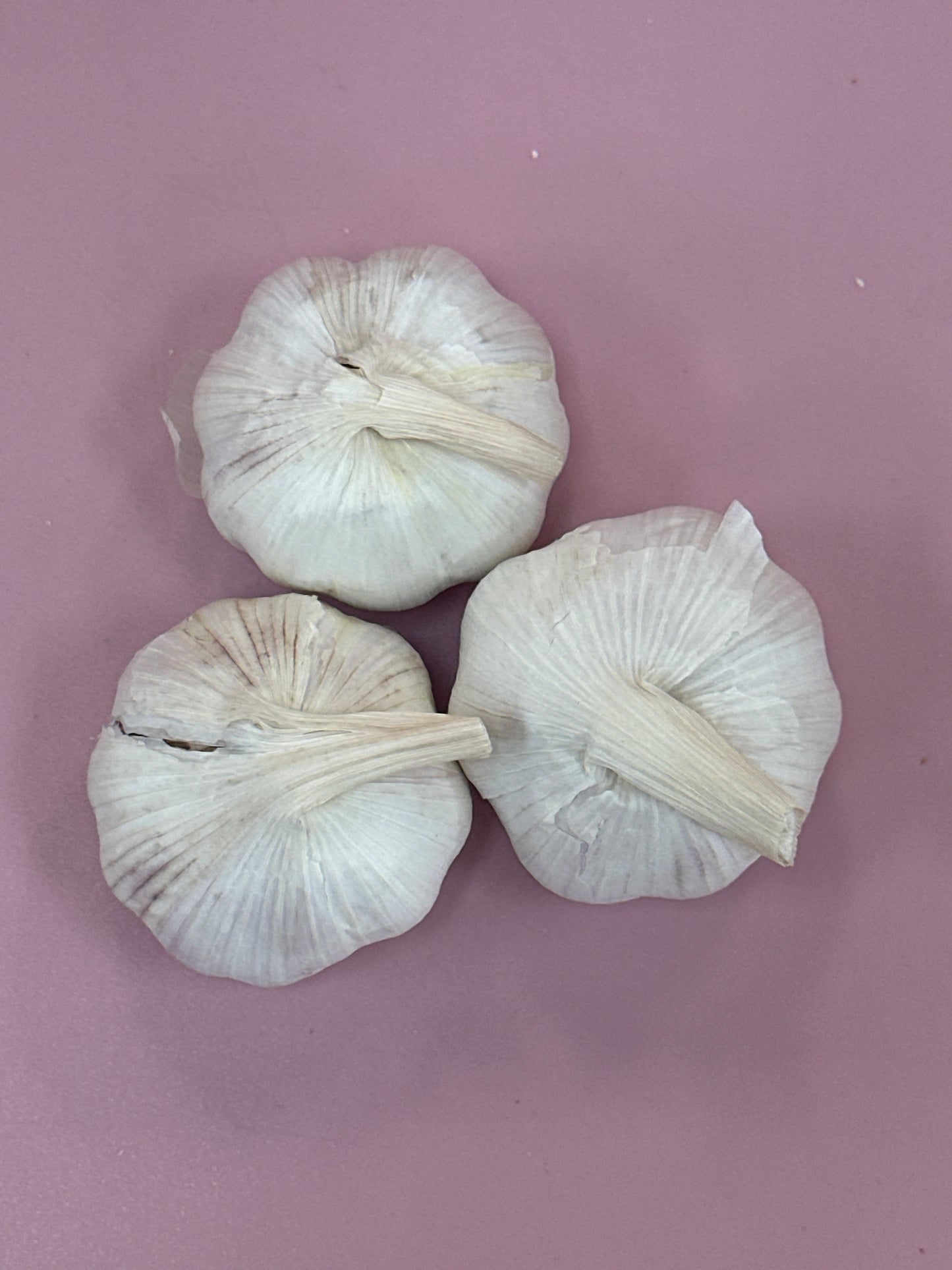 Garlic White Loose /kg