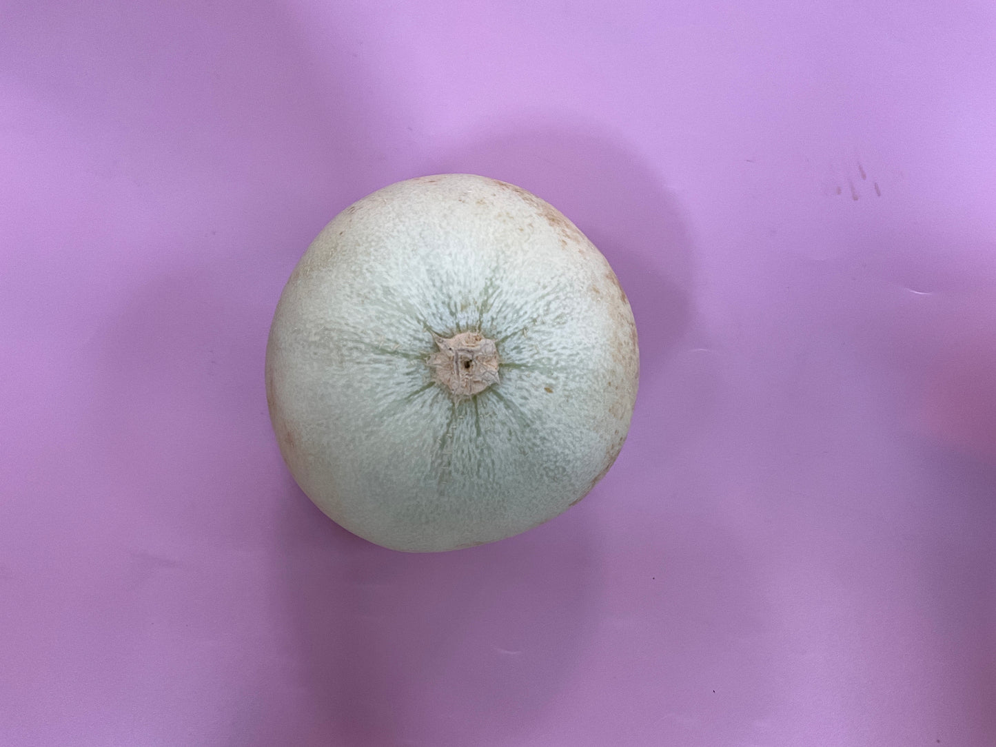 Honeydew melon