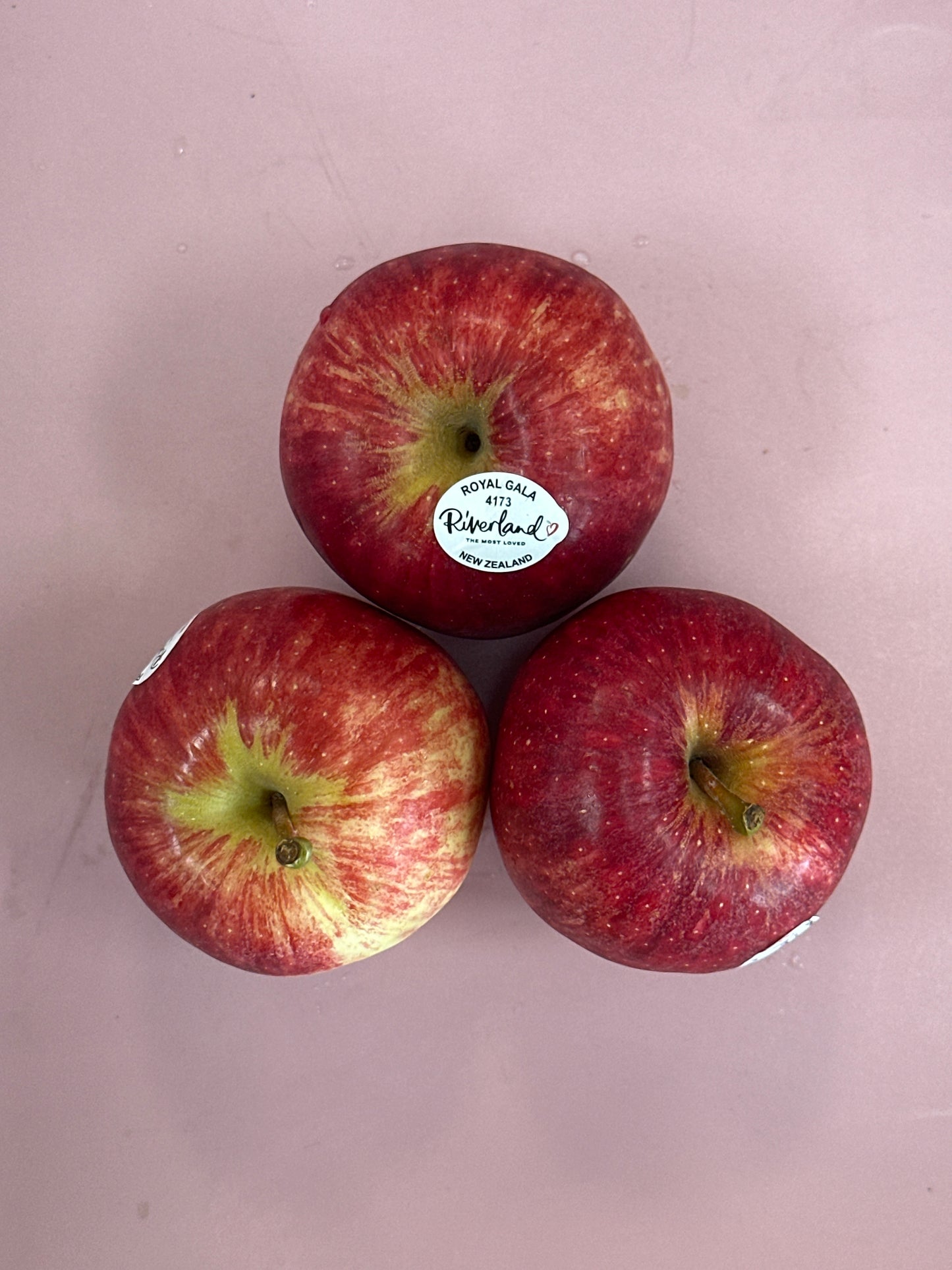 Apple Royal Gala