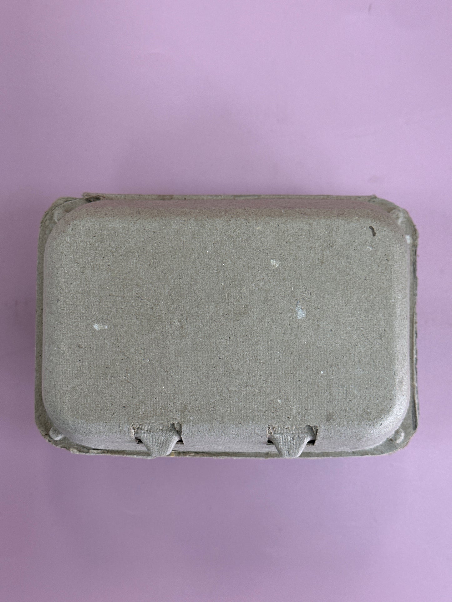 Fresh eggs box 6pc