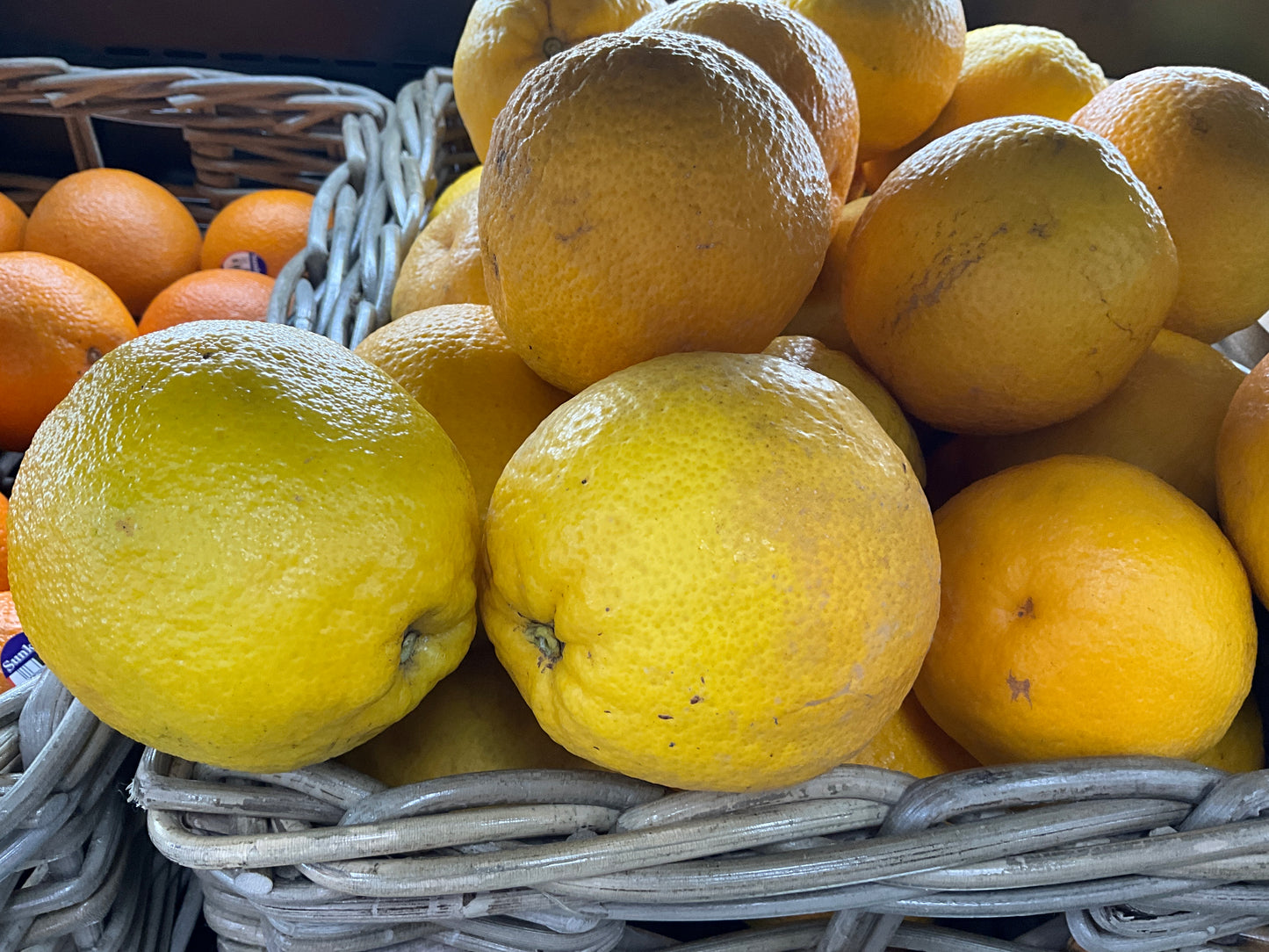 Orange Summer Seedless Jumbo/kg