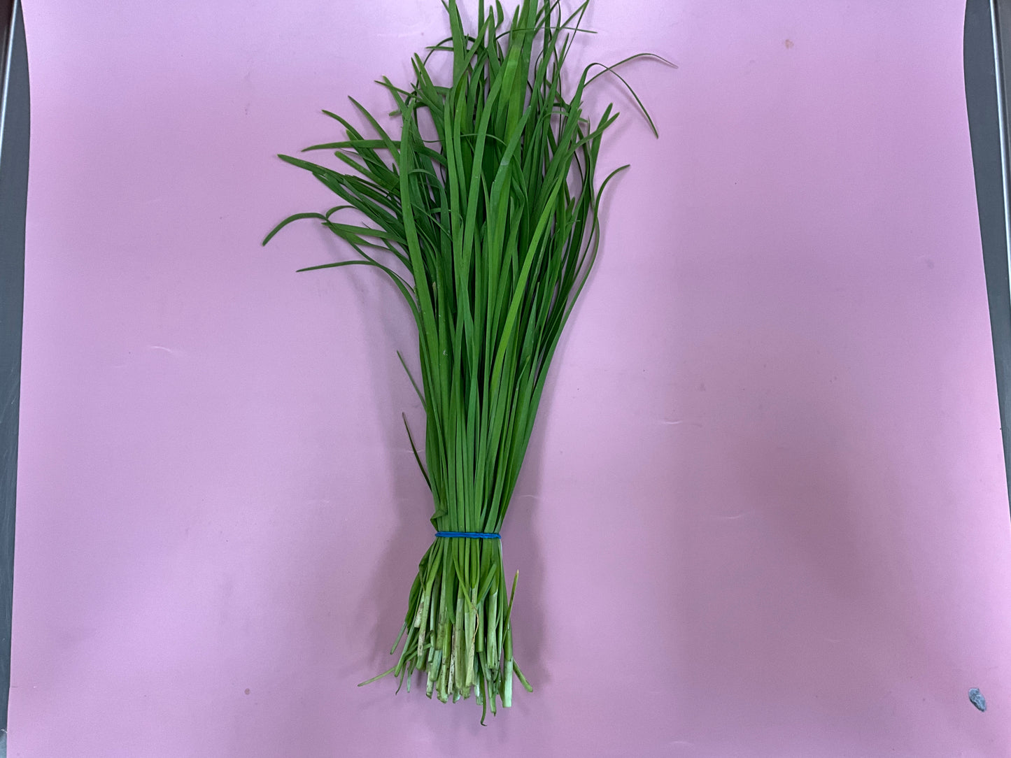 chive/bunch