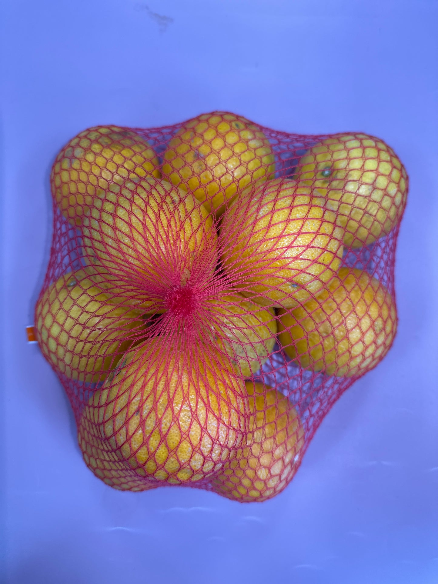 ORANGE VALENCIA PREPACK 1.5kg