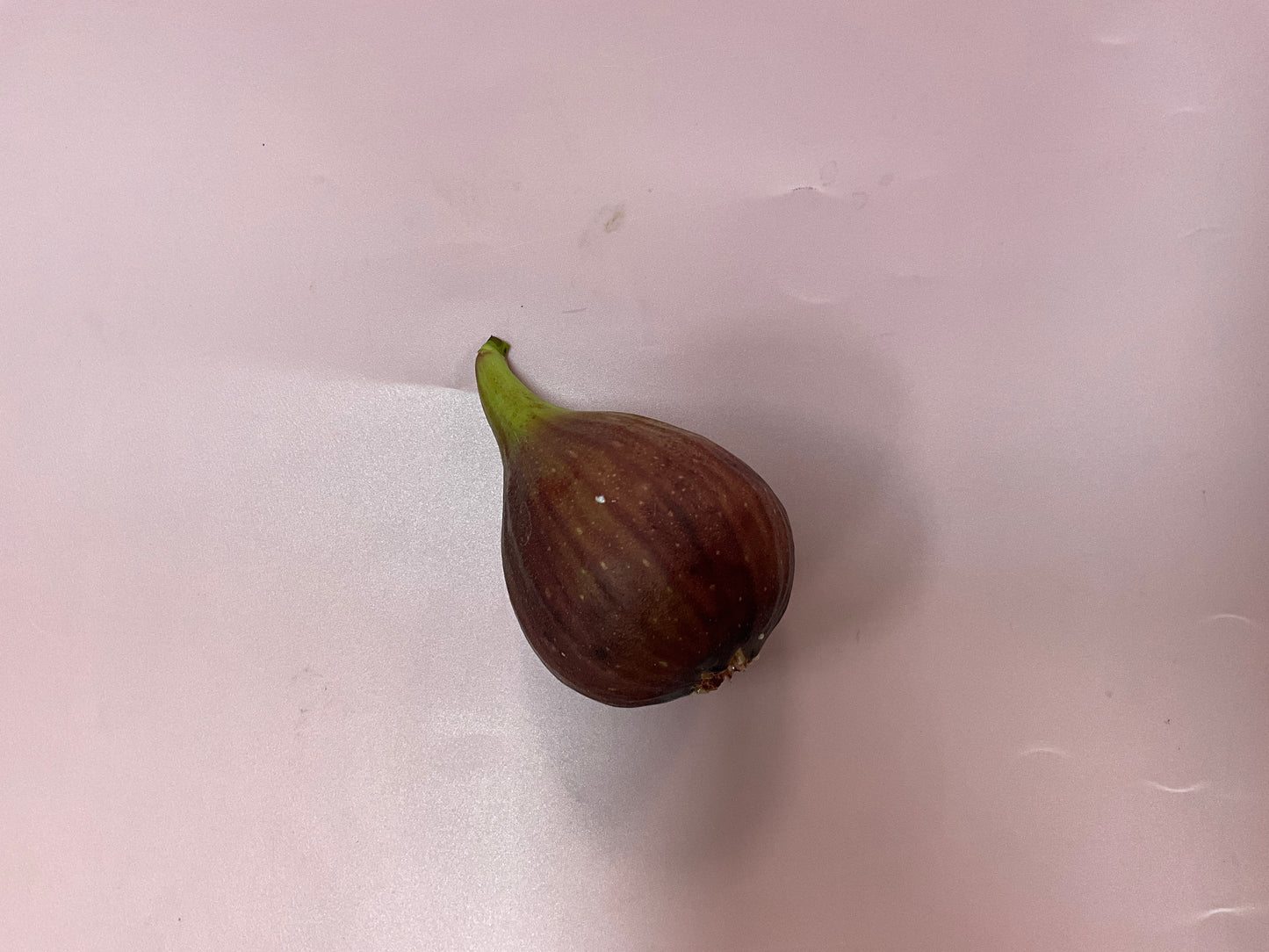 Fresh Figs /ea