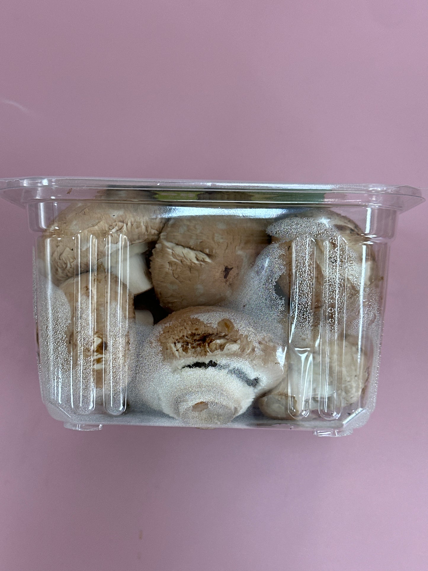 Mushroom Swiss Brown