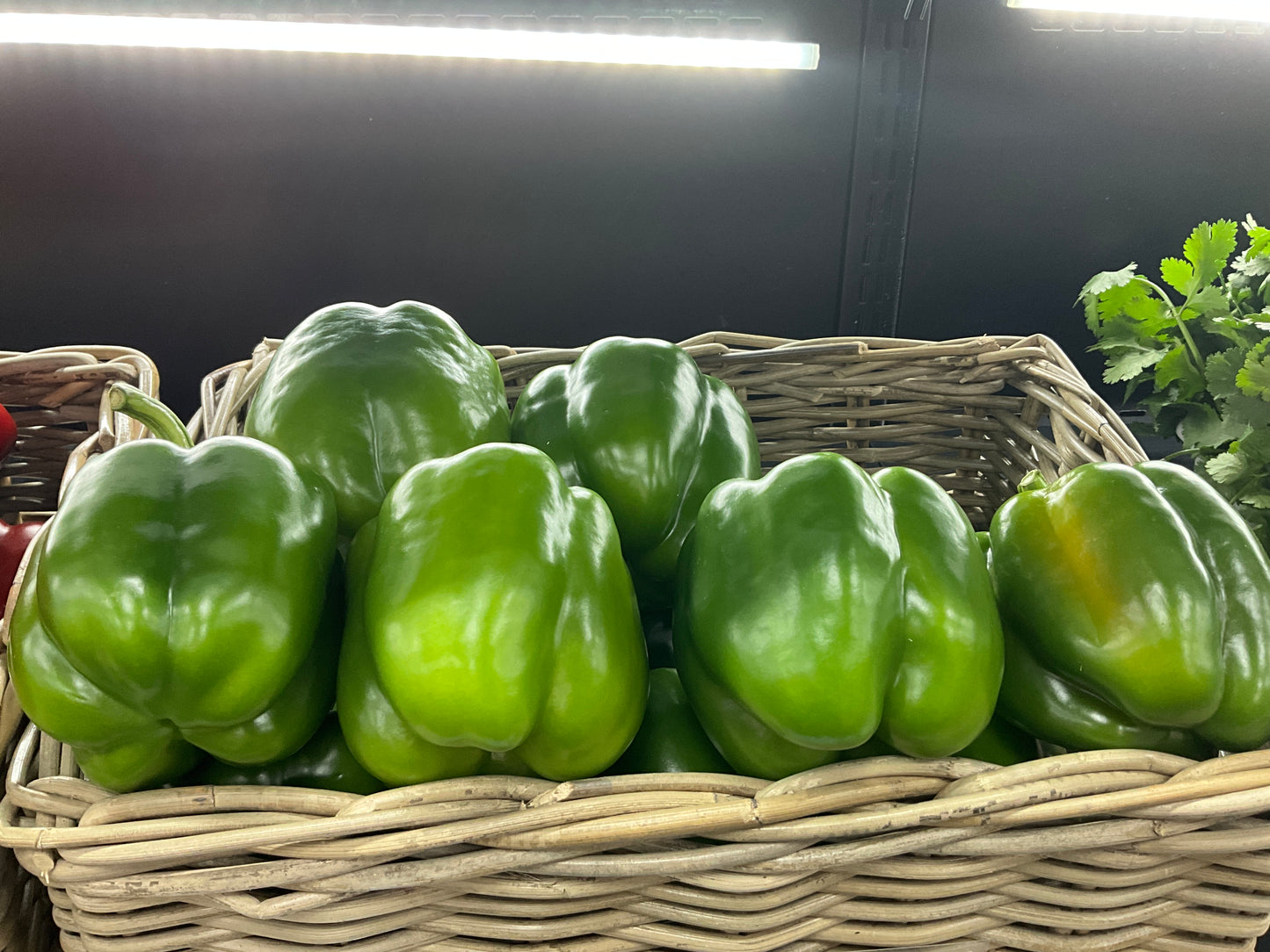 Capsicum Green each