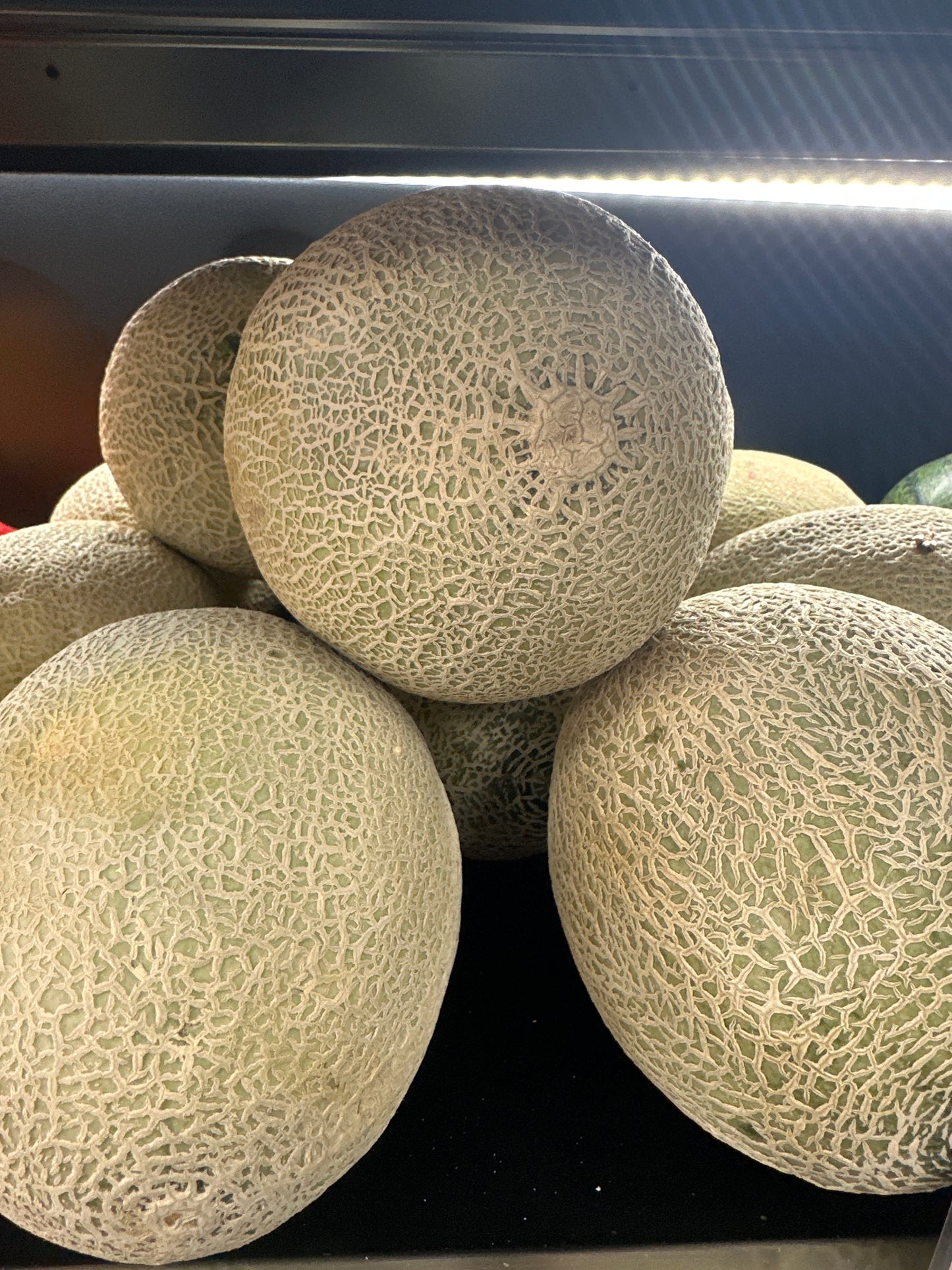 Rockmelon