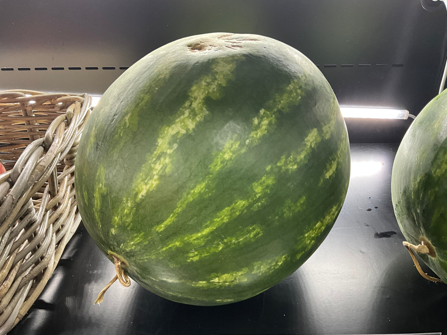 Watermelon Whole