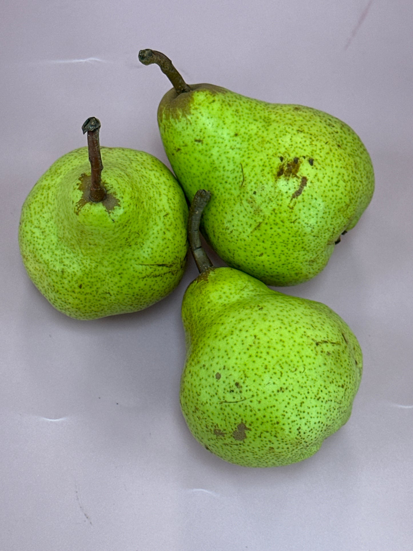 Pear Packham Australia /kg