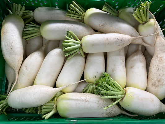 Daikon\ea