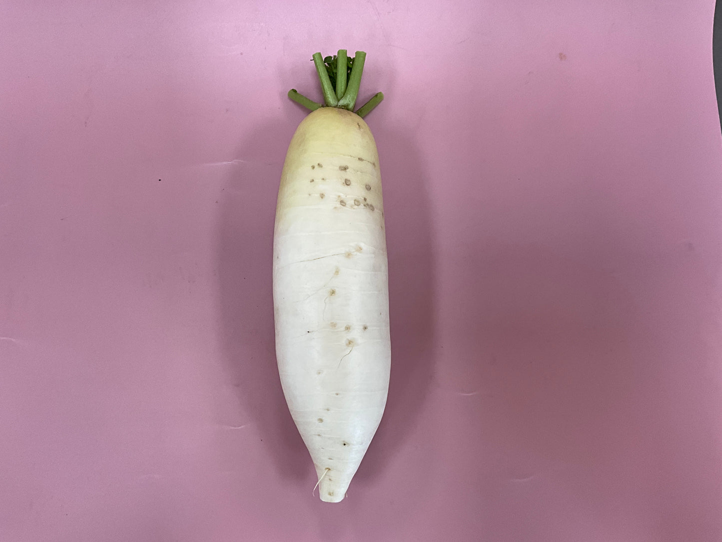 Daikon/kg