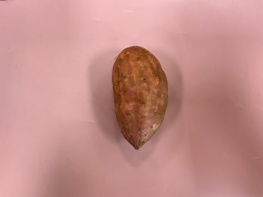 kumara orange jumbo