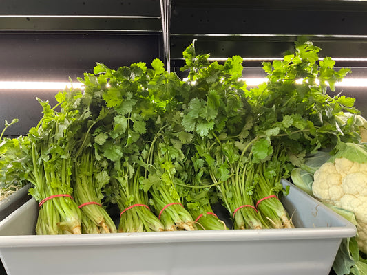 Coriander large bunch