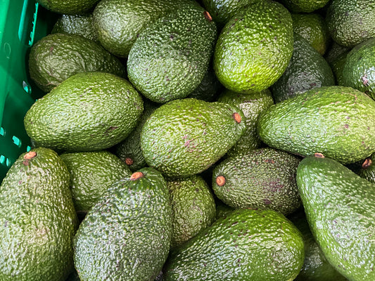 Avocado Hass