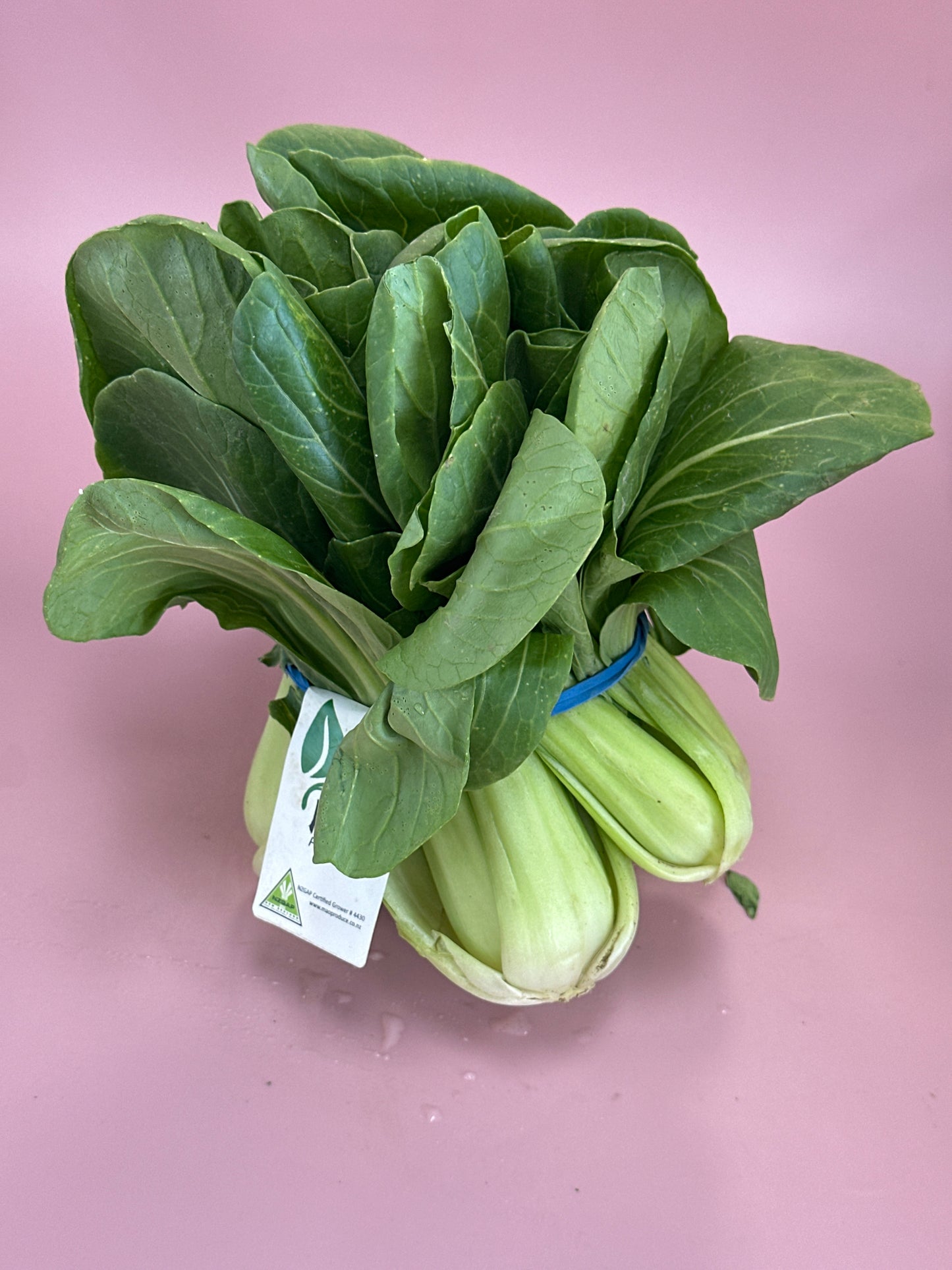 Shanghai Bok Choy