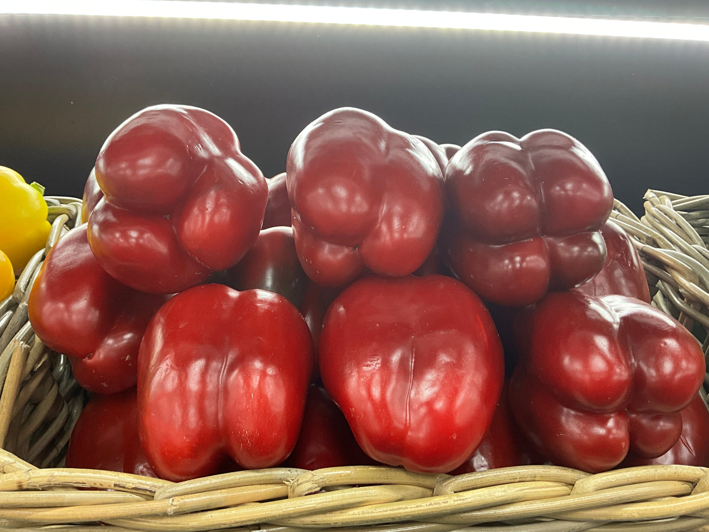 Capsicum Red each