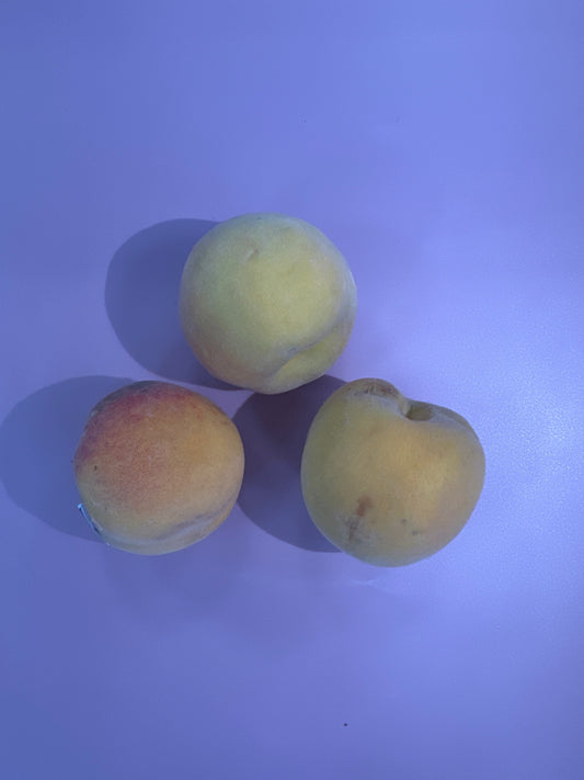 PEACH TATURA BELLE