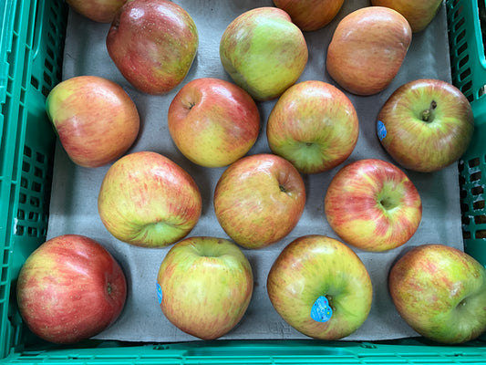 Apple Ever Crisp /kg