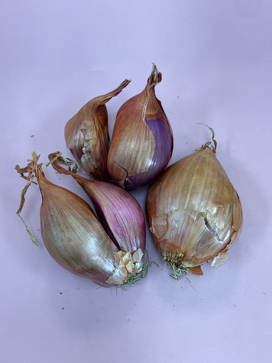 Shallots Large /kg