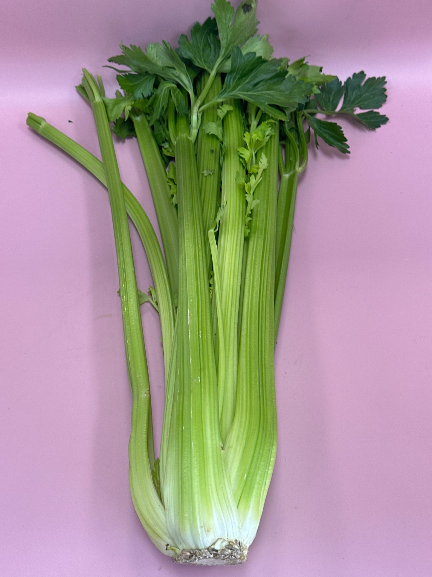 Celery /ea