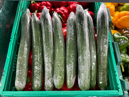 Cucumber