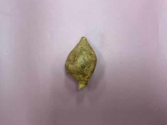 Kumara Gold /kg