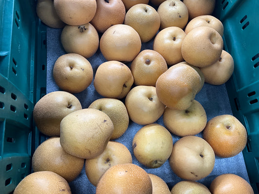 PEAR NASHI HOSUI / KG