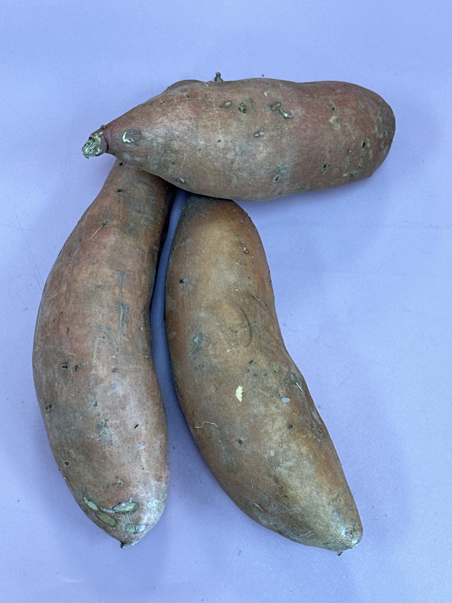 Kumara Orange Standard /kg