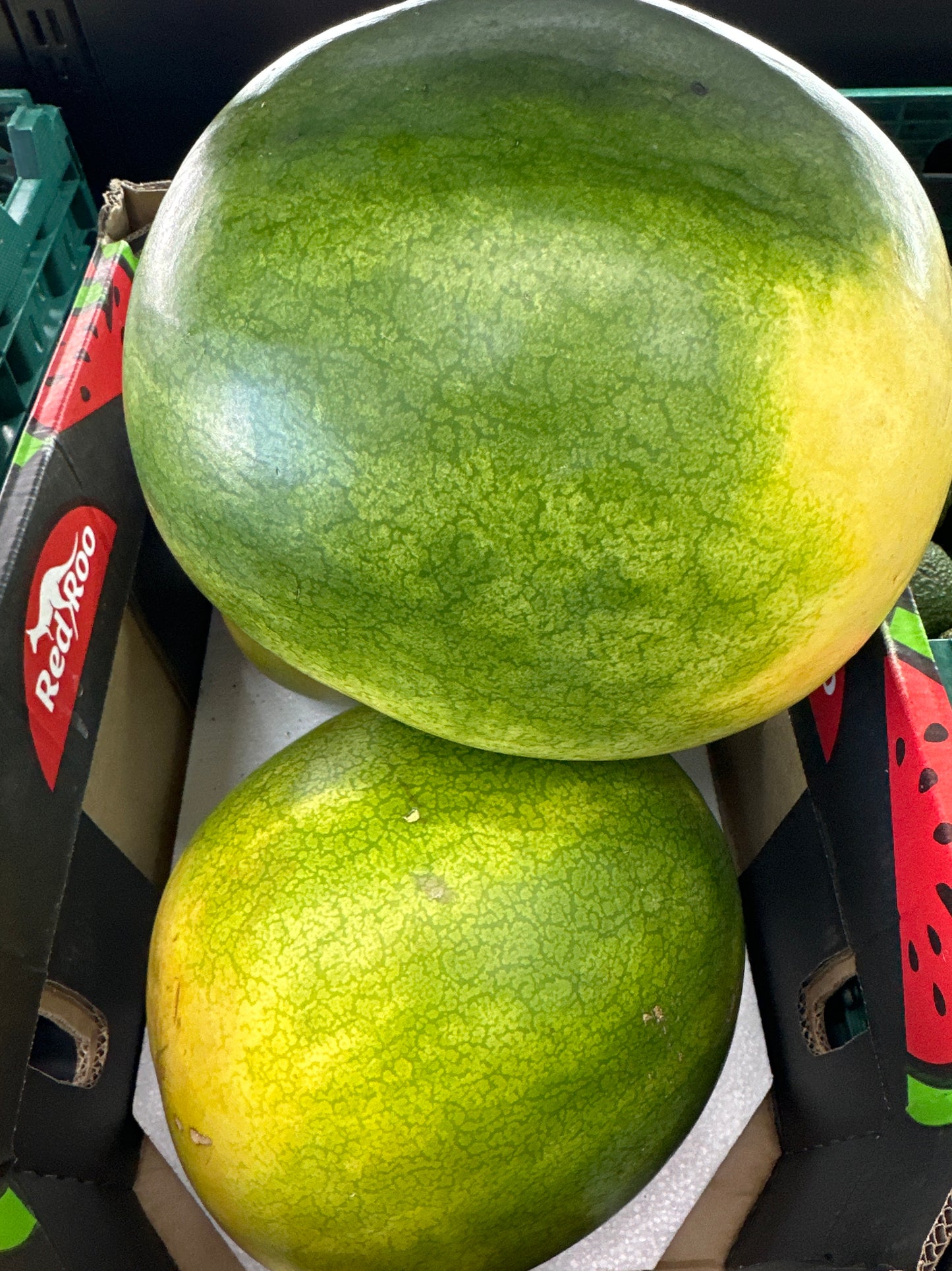 Watermelon whole /kg