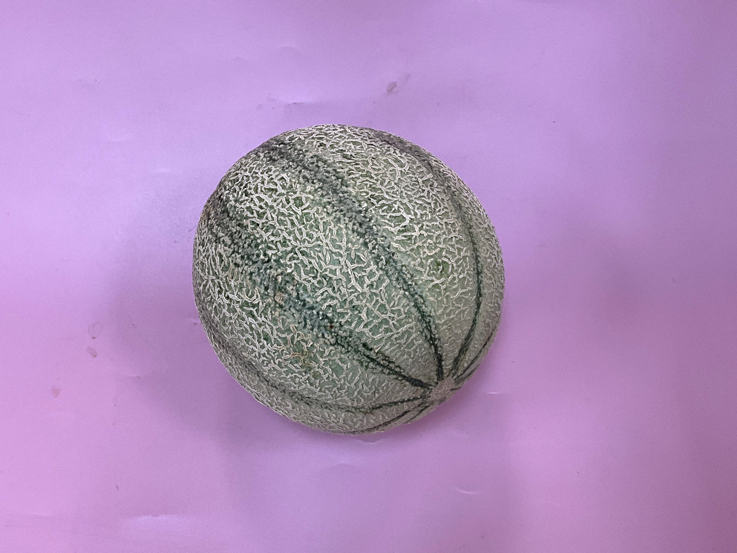 Rockmelon