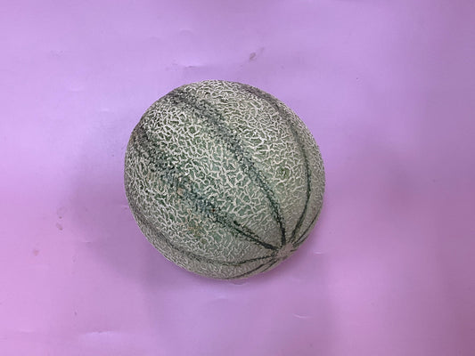 Rockmelon