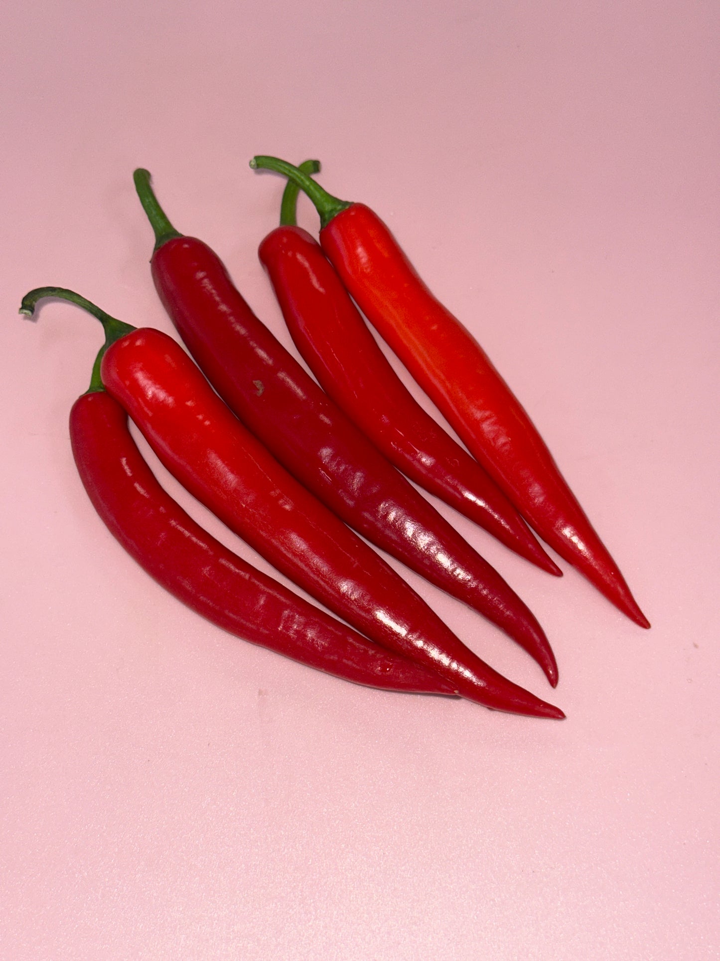 Chillies Red/kg