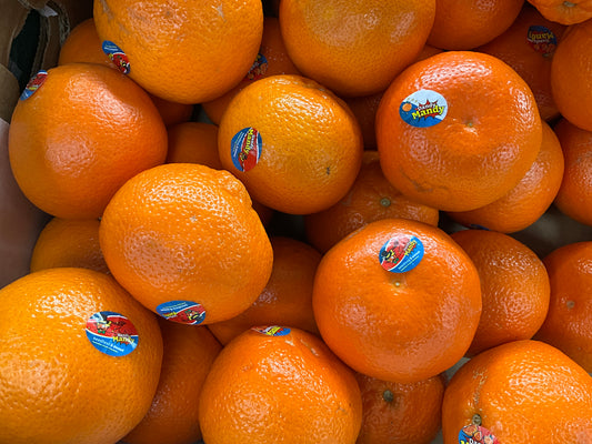 Mandarin Dandy Mandy AUS