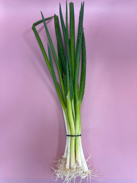 Spring Onion bunch