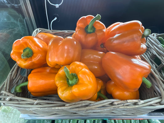 Capsicum Orange each